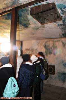 IMG_ (10851)